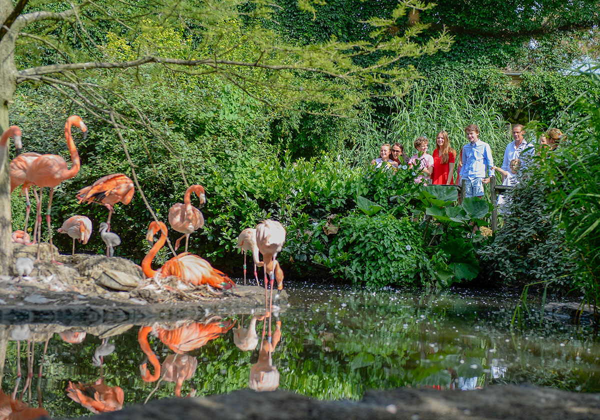 Avifauna