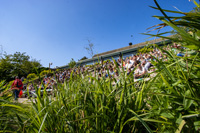(IMG_5637_raw) (IMG_5637_raw)