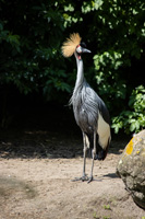 (IMG_5886_raw) (IMG_5886_raw)